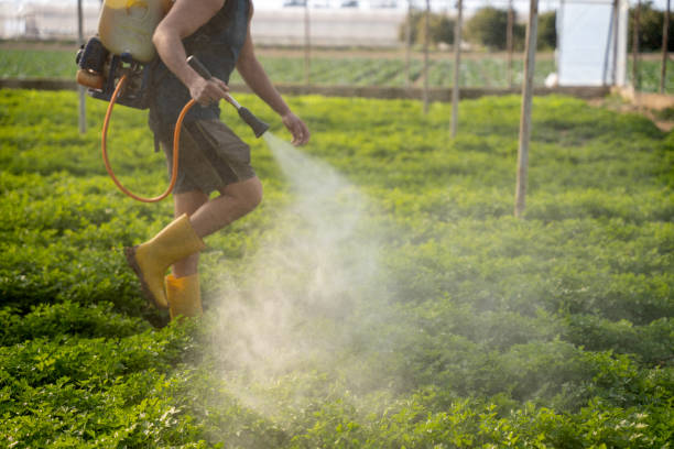 Best Best Pest Control Companies  in Sparta, MO