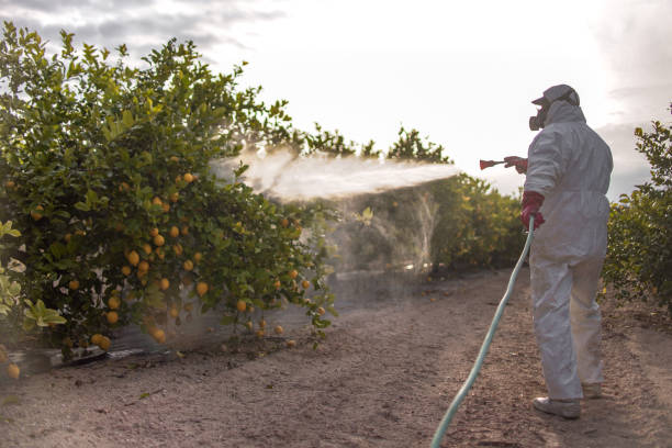 Best Best Pest Control Companies  in Sparta, MO