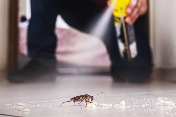 Best Wildlife Control Services  in Sparta, MO